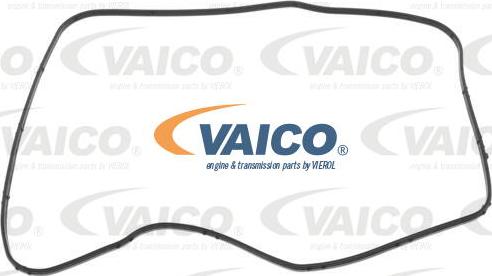 VAICO V10-6967 - Blīve, Automātiskā pārnesumkārba autodraugiem.lv