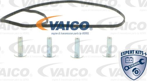 VAICO V10-50094 - Ūdenssūknis autodraugiem.lv