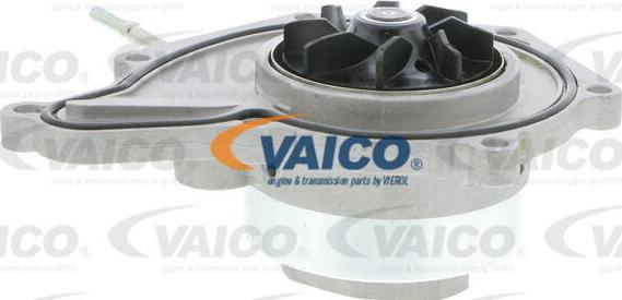 VAICO V10-50090 - Ūdenssūknis autodraugiem.lv