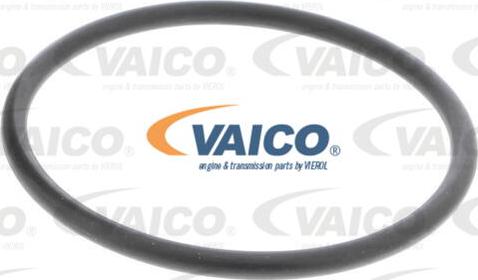 VAICO V10-50098 - Ūdenssūknis autodraugiem.lv
