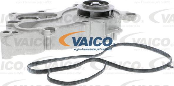VAICO V10-50093 - Ūdenssūknis autodraugiem.lv