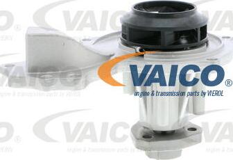 VAICO V10-50045 - Ūdenssūknis autodraugiem.lv