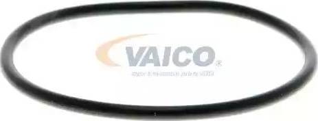 VAICO V10-50058-1 - Ūdenssūknis autodraugiem.lv