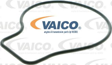 VAICO V10-50057 - Ūdenssūknis autodraugiem.lv