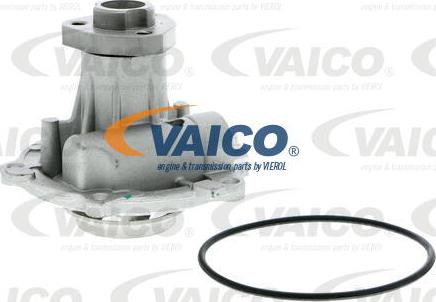 VAICO V10-50009 - Ūdenssūknis autodraugiem.lv