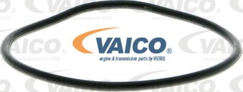 VAICO V10-50008 - Ūdenssūknis autodraugiem.lv