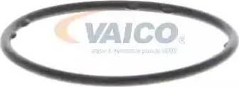 VAICO V10-50003 - Ūdenssūknis autodraugiem.lv