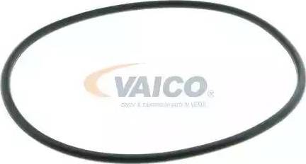 VAICO V10-50019 - Ūdenssūknis autodraugiem.lv