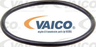 VAICO V10-50011 - Ūdenssūknis autodraugiem.lv