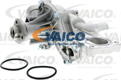 VAICO V10-50013 - Ūdenssūknis autodraugiem.lv
