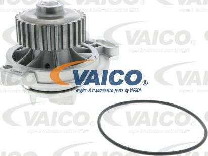 VAICO V10-50031 - Ūdenssūknis autodraugiem.lv