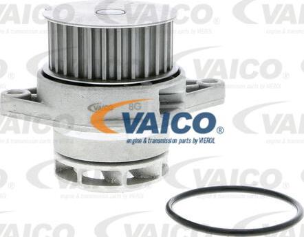 VAICO V10-50037 - Ūdenssūknis autodraugiem.lv