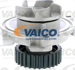 VAICO V10-50028 - Ūdenssūknis autodraugiem.lv