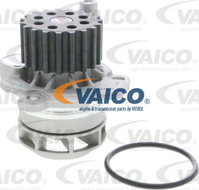 VAICO V10-50073-1 - Ūdenssūknis autodraugiem.lv