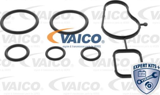 VAICO V10-50115 - Ūdenssūknis autodraugiem.lv