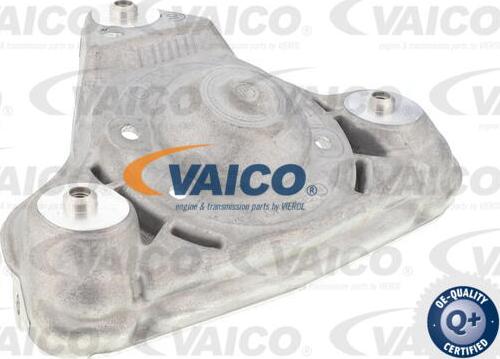 VAICO V10-6495 - Amortizatora statnes stiprinājums autodraugiem.lv