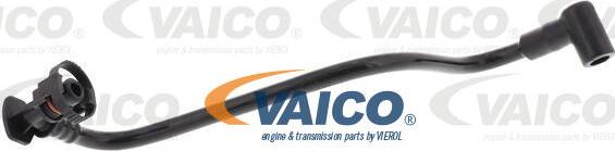 VAICO V10-6642 - Šļūtene, Kartera ventilācija autodraugiem.lv