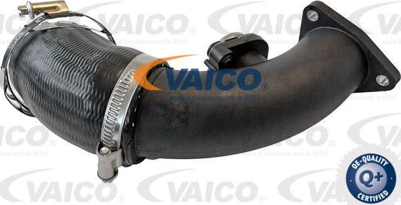 VAICO V10-6737 - Pūtes sistēmas gaisa caurule autodraugiem.lv