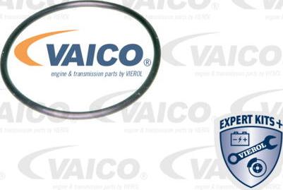 VAICO V10-0440 - Hidrofiltrs, Automātiskā pārnesumkārba autodraugiem.lv