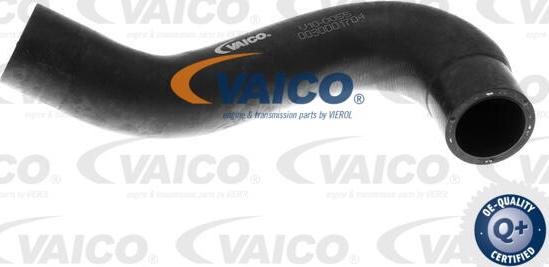 VAICO V10-0055 - Radiatora cauruļvads autodraugiem.lv