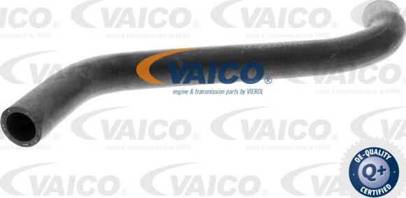 VAICO V10-0051 - Radiatora cauruļvads autodraugiem.lv