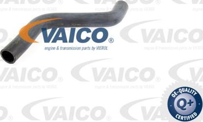 VAICO V10-0060 - Radiatora cauruļvads autodraugiem.lv
