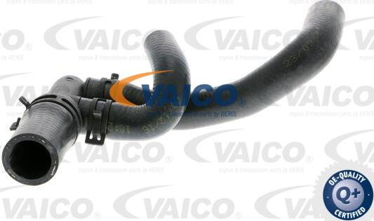 VAICO V10-0395 - Radiatora cauruļvads autodraugiem.lv