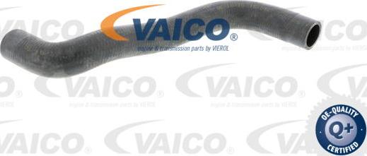 VAICO V10-0361 - Radiatora cauruļvads autodraugiem.lv