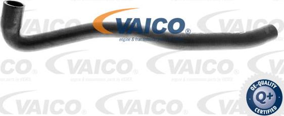 VAICO V10-0363 - Radiatora cauruļvads autodraugiem.lv