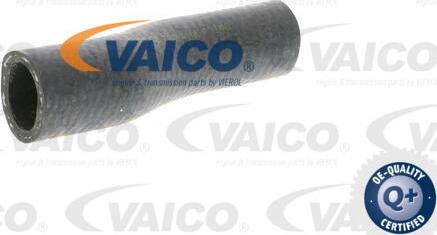 VAICO V10-0362 - Radiatora cauruļvads autodraugiem.lv