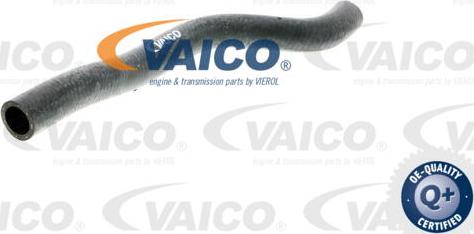 VAICO V10-0388 - Radiatora cauruļvads autodraugiem.lv
