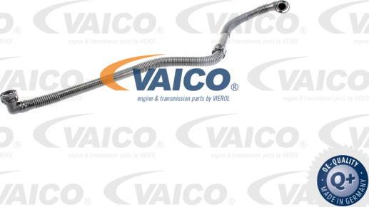 VAICO V10-3597 - Šļūtene, Gaisa padeves sistēma autodraugiem.lv
