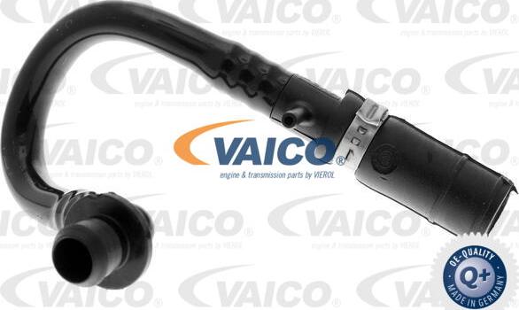 VAICO V10-3640 - Vakuuma šļūtene, Bremžu sistēma autodraugiem.lv