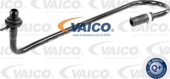 VAICO V10-3648 - Vakuuma šļūtene, Bremžu sistēma autodraugiem.lv