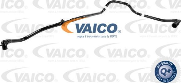 VAICO V10-3655 - Vakuuma šļūtene, Bremžu sistēma autodraugiem.lv
