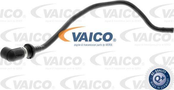 VAICO V10-3665 - Vakuuma šļūtene, Bremžu sistēma autodraugiem.lv