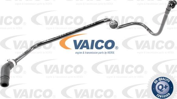 VAICO V10-3606 - Vakuuma šļūtene, Bremžu sistēma autodraugiem.lv