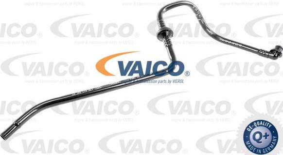 VAICO V10-3615 - Vakuuma šļūtene, Bremžu sistēma autodraugiem.lv