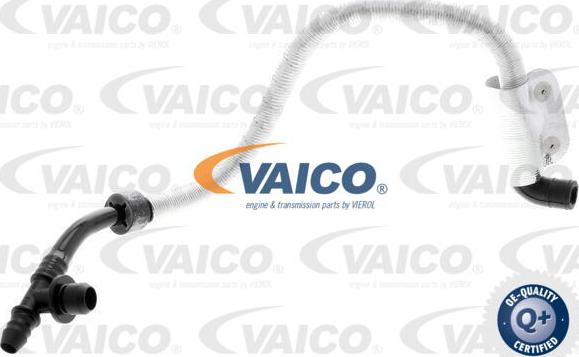 VAICO V10-3616 - Vakuuma šļūtene, Bremžu sistēma autodraugiem.lv