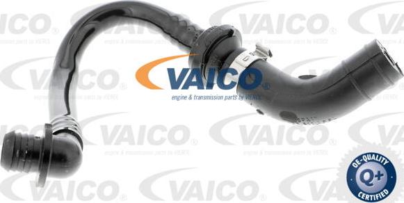VAICO V10-3612 - Vakuuma šļūtene, Bremžu sistēma autodraugiem.lv