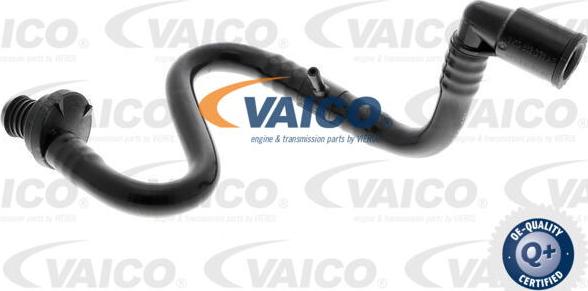 VAICO V10-3633 - Vakuuma šļūtene, Bremžu sistēma autodraugiem.lv