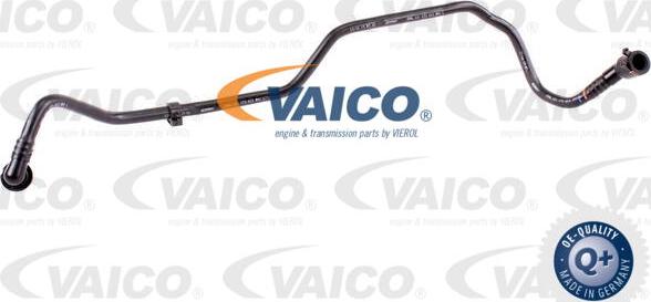 VAICO V10-3637 - Vakuuma šļūtene, Bremžu sistēma autodraugiem.lv