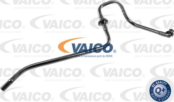 VAICO V10-3624 - Vakuuma šļūtene, Bremžu sistēma autodraugiem.lv