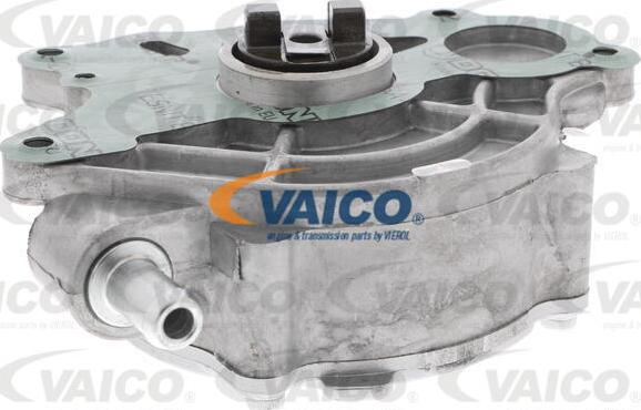 VAICO V10-3150 - Vakuumsūknis, Bremžu sistēma autodraugiem.lv