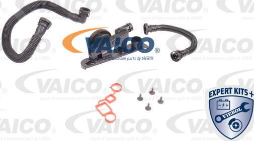 VAICO V10-3247 - Remkomplekts, Kartera ventilācija autodraugiem.lv