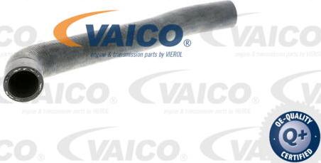VAICO V10-3201 - Radiatora cauruļvads autodraugiem.lv