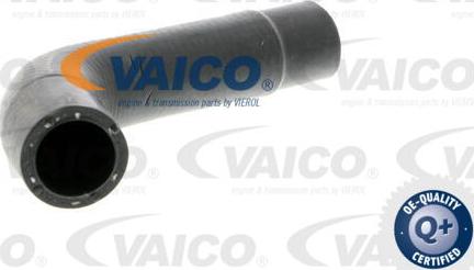 VAICO V10-3202 - Radiatora cauruļvads autodraugiem.lv