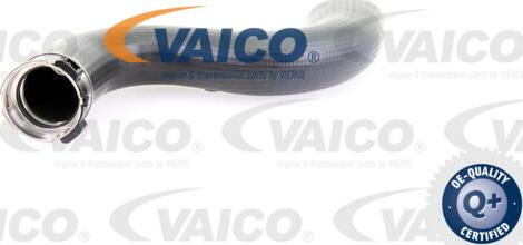 VAICO V10-3778 - Pūtes sistēmas gaisa caurule autodraugiem.lv