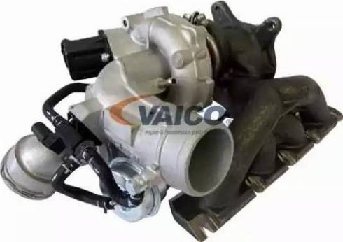 VAICO V10-2482 - Kompresors, Turbopūte autodraugiem.lv