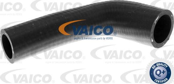 VAICO V10-2804 - Radiatora cauruļvads autodraugiem.lv